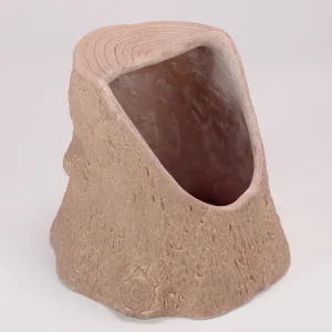 Tree Stump