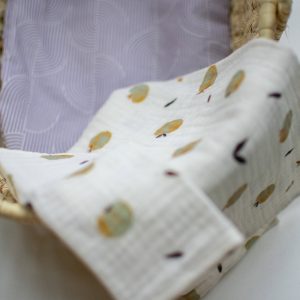 Omslagdoek En Spuugdoek Appel